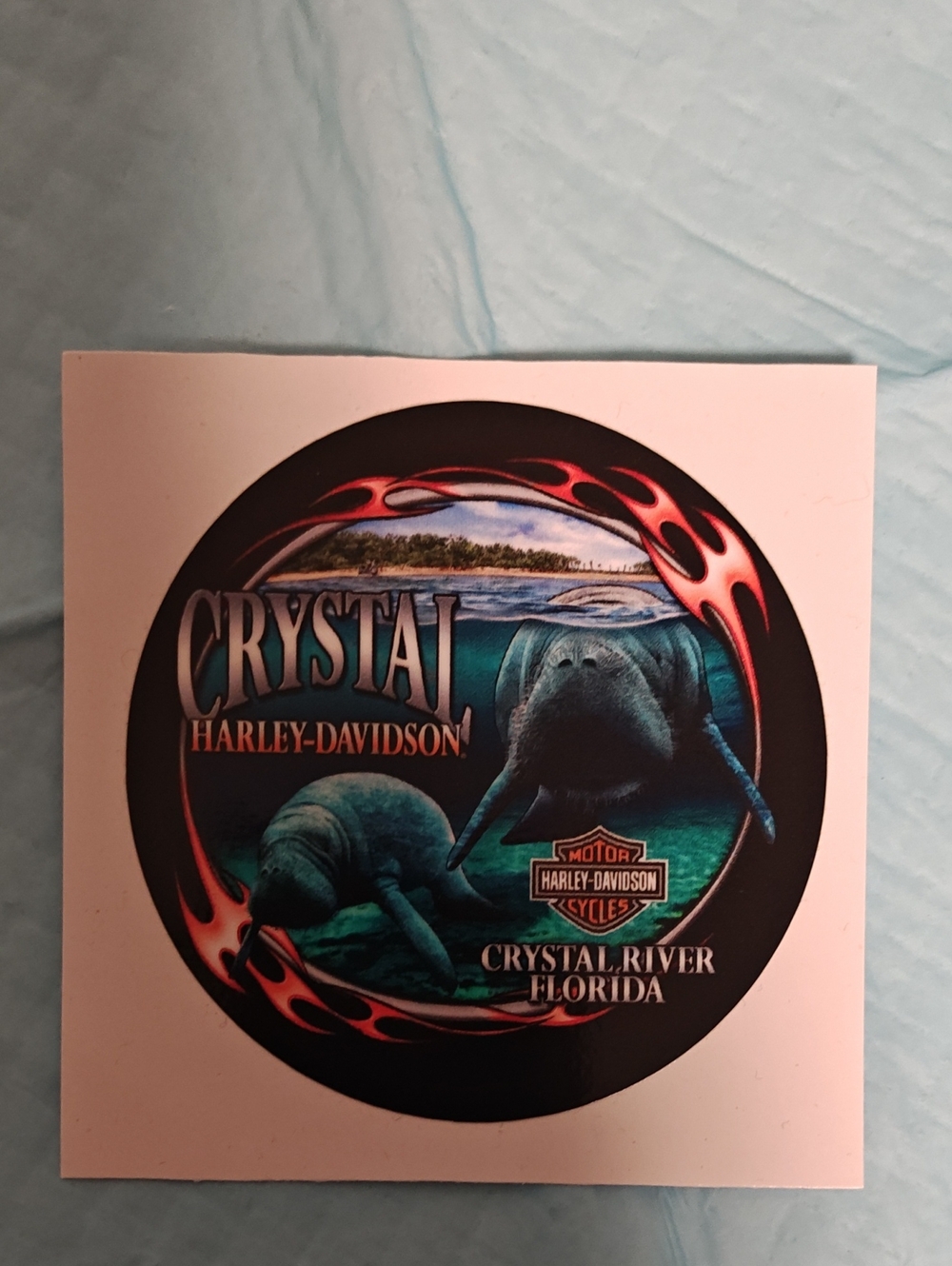 Harley-Davidson Blue Teal Manatee Round Sticker